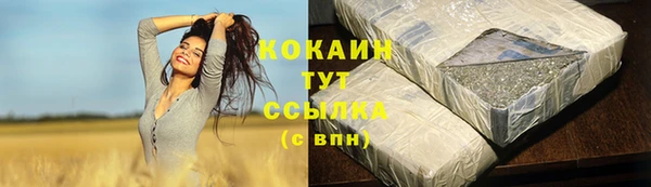 PSILOCYBIN Тосно