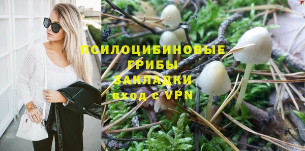 дмт Тотьма
