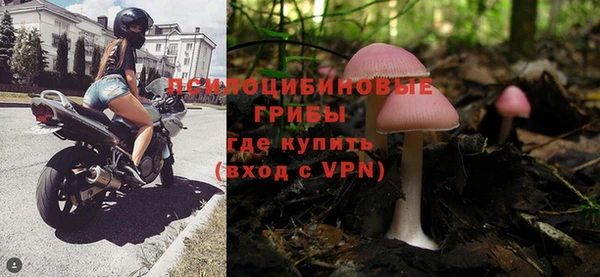 твердый Алзамай