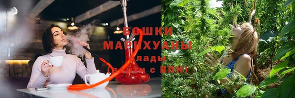 трава Аркадак