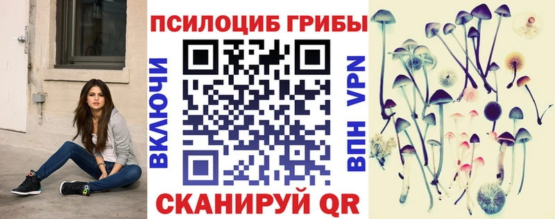 Галлюциногенные грибы Psilocybe  где купить наркотик  Усть-Илимск 