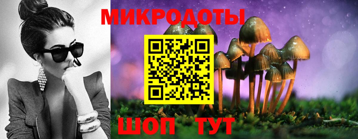 Псилоцибиновые грибы мицелий  Вход с VPN  Усть-Илимск 